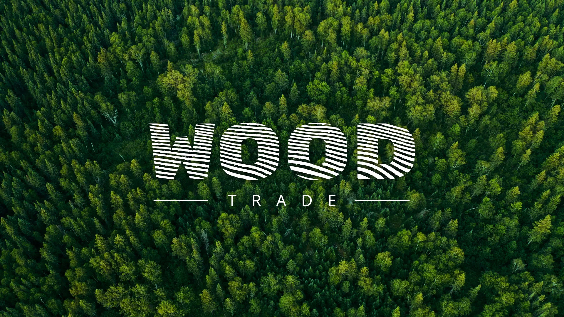 Разработка интернет-магазина компании «Wood Trade» в Шацке
